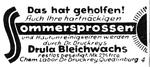 Drula Bleichwachs 1937 0.jpg